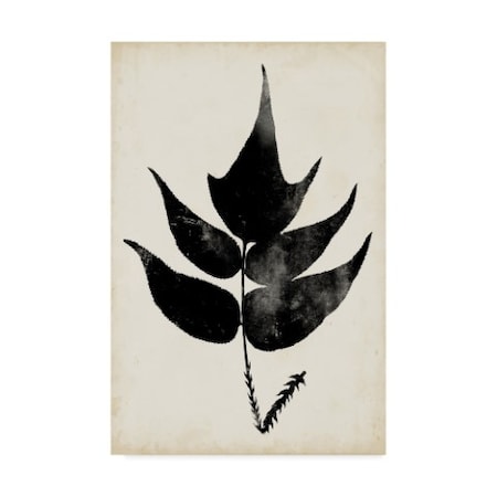 Vision Studio 'Fern Silhouette Iv' Canvas Art,30x47